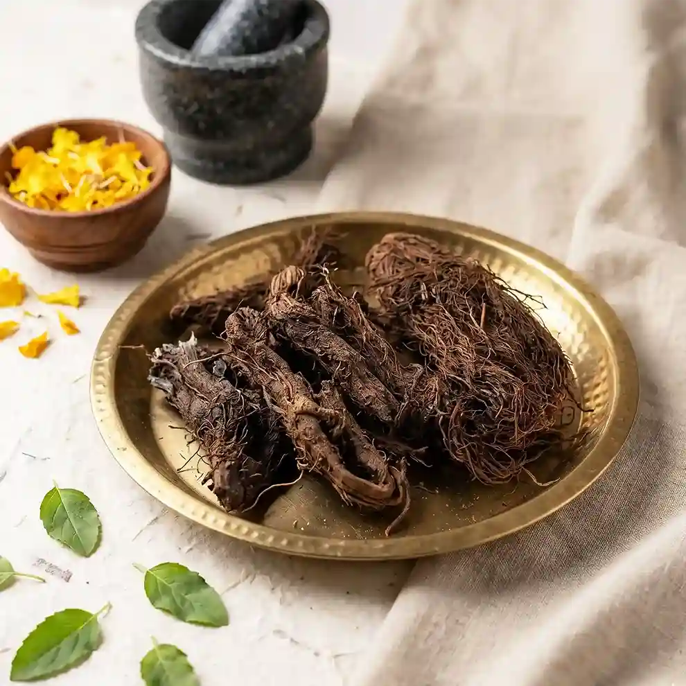 Jatamansi | Spikenard Root | Jatamangshi | Tapaswini