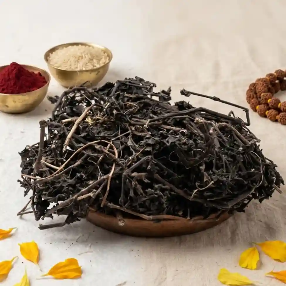 Bhringaraj Leaves Dried | False Daisy | Kesharaj | Eclipta Alba