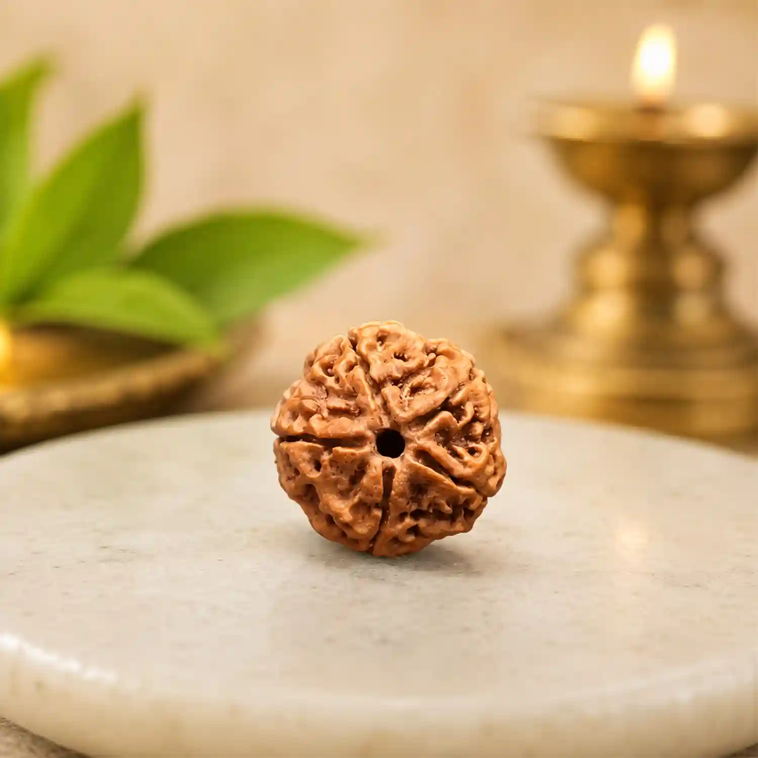 Natural 5 Mukhi Rudraksha Bead | Panch Mukhi Rudraksha Bead Natural